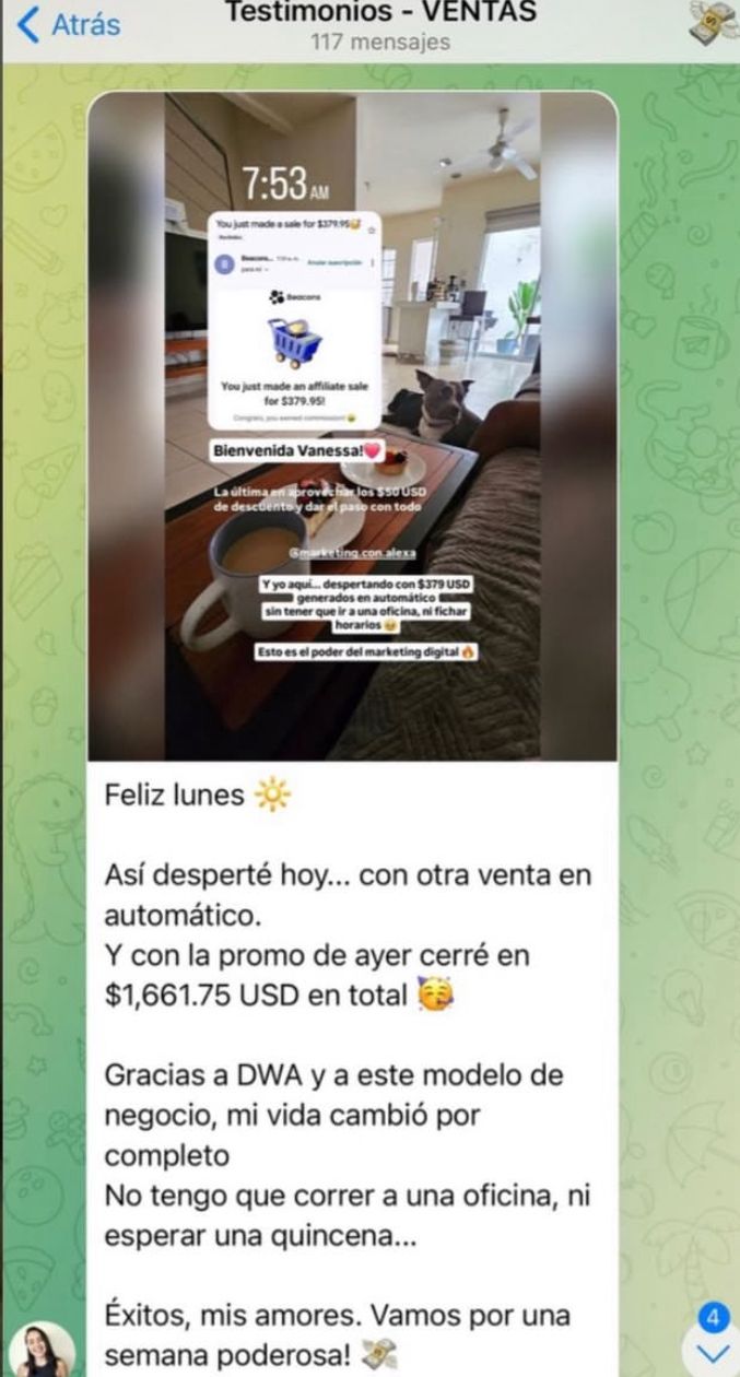 NextFlight Academy Despega Tu Negocio Digital Desde Cero Aprende 